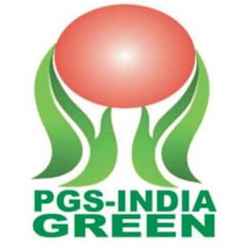 WhatsApp Image 2024-10-07 at 13.54.44